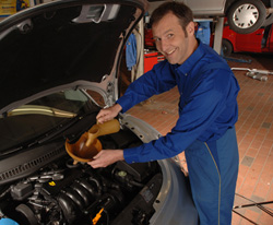 meister_oel_250 meister_oel_250